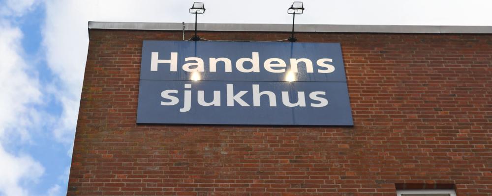 Handens sjukhus. Pressbild: Forsen