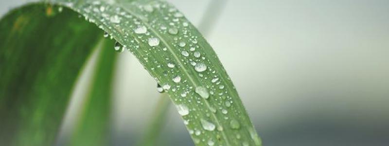 Foto: Mostphotos