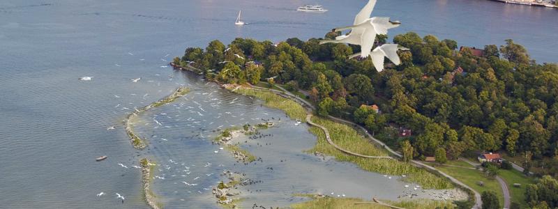 Illustration av isbladlagunen. Visualisering: Gaia Arkitektur, Flygfoto: Ola Ericson/Stockholmsfoto