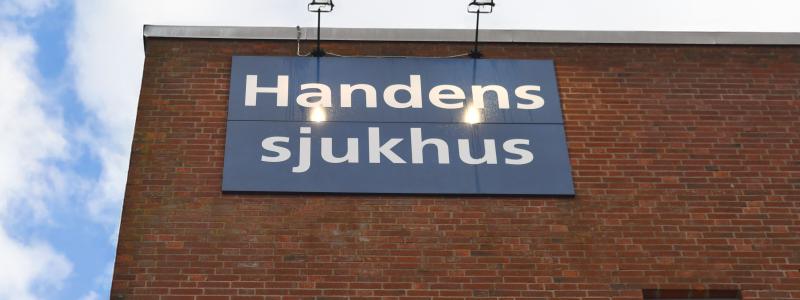 Handens sjukhus. Pressbild: Forsen