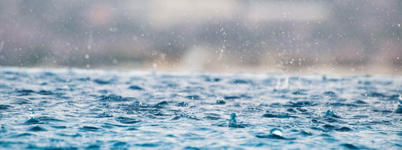 Foto: Max/Unsplash