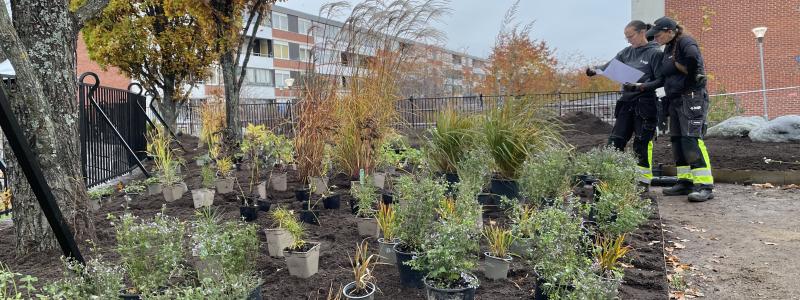 Parken får inte bara nya blommor utan också nya bänkar och ny grillplats. Planen är att parken ska vara klar under hösten 2022. Foto: Huge