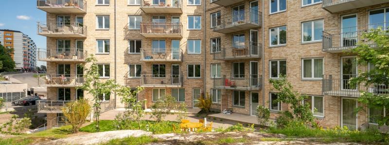 Kv Bofinken. Vy från gården, en bevarad kulle där uppvuxna tallar samsas med nyplanterad växtlighet. Foto: Peder Lindbom, AIX.