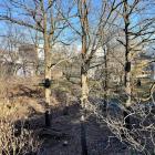 Bygget av den nya gula linjen – tunnelbanesträckan mellan Älvsjö och Fridhemsplan – prövas nu miljömässigt. En av stationerna planeras att byggas i anslutning till Stockholmsmässan. Foto: Stina Wickenberg