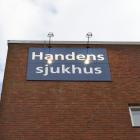 Handens sjukhus. Pressbild: Forsen