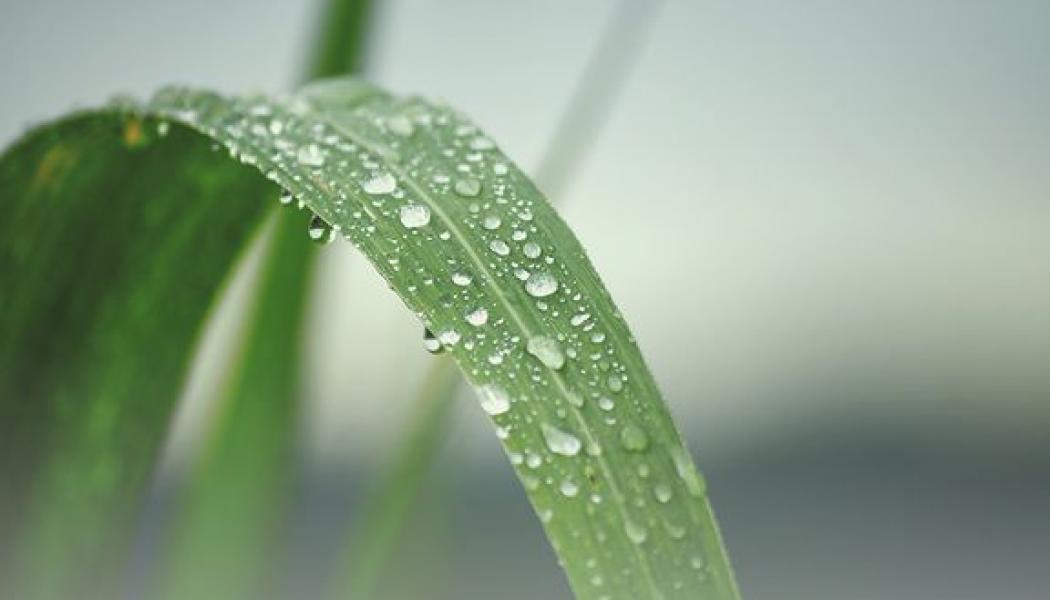 Foto: Mostphotos 