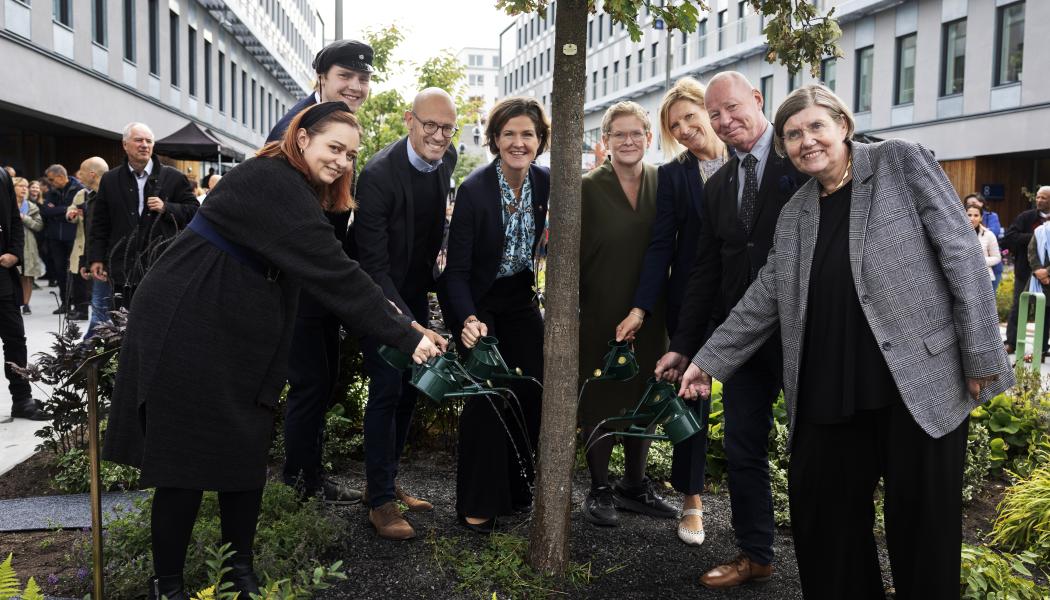 Från vänster: Disa Ahlbom-Berg, Niklas Carlbaum, Stefan Sandberg, Anna Kinberg Batra, Karin Wanngård, Caroline Arehult, Anders Söderholm och Astrid Söderbergh Widding. Foto: Nils Petter Nilsson