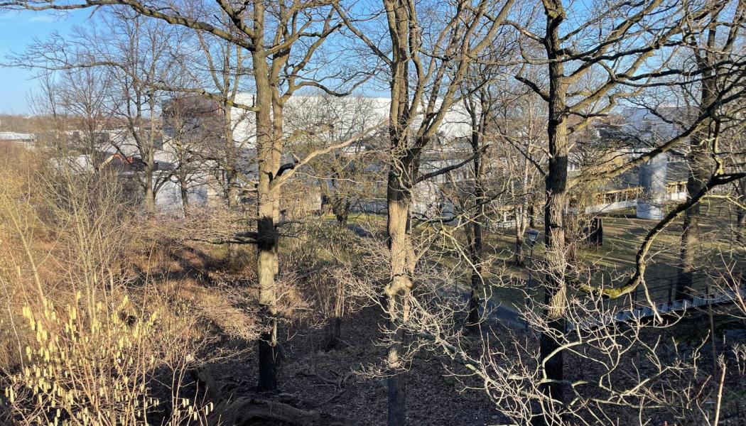 Här, bredvid Stockholmsmässan, ska den nya tunnelbanestation i Älvsjö placeras. Mässan kommer att rivas och ge plats åt en del av de nya bostäder och arbetsplatser som planeras i området. Foto: Stina Wickenberg