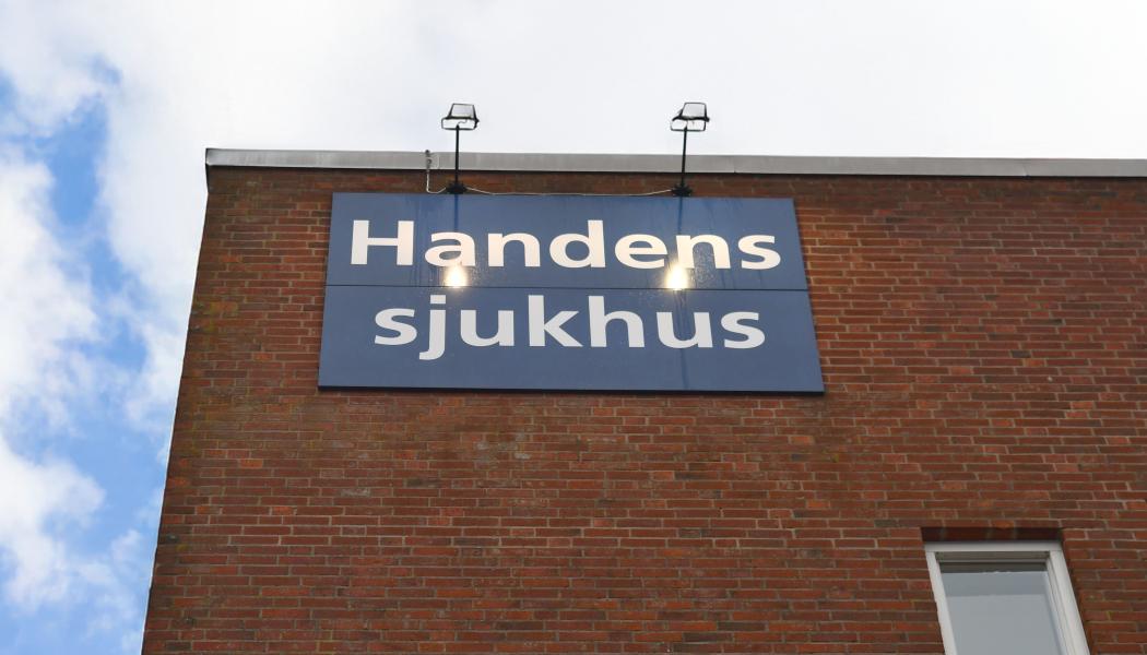 Handens sjukhus. Pressbild: Forsen