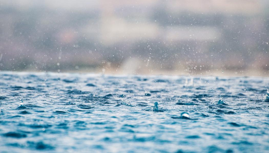 Foto: Max/Unsplash