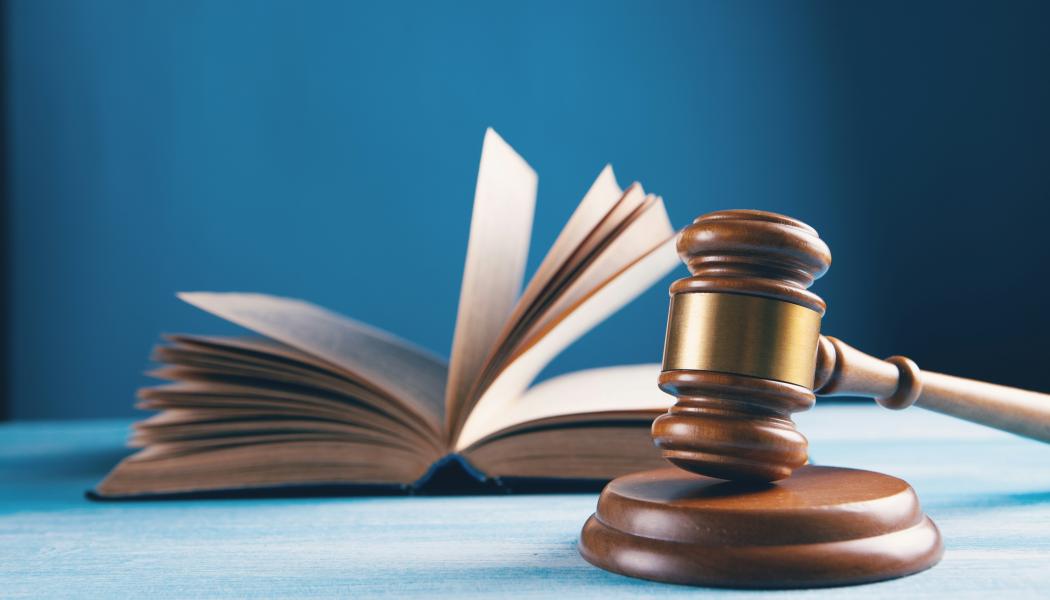 Naturskyddsföreningen har begärt rättsprövning av regeringens beslut att tillåta bygget av motortrafikleden Tvärförbindelse Södertörn i södra Stockholm. Foto: sasun bughdaryan / unsplash