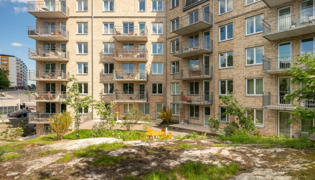 Kv Bofinken. Vy från gården, en bevarad kulle där uppvuxna tallar samsas med nyplanterad växtlighet. Foto: Peder Lindbom, AIX.