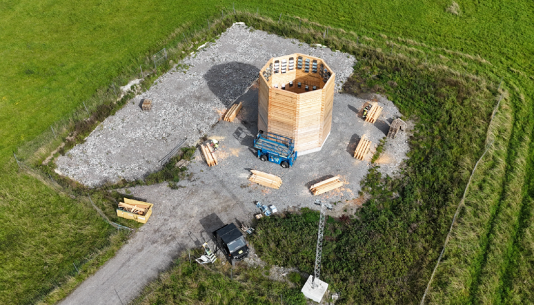 Tunnelbanans nya torn blir hem för fåglar och fladdermöss