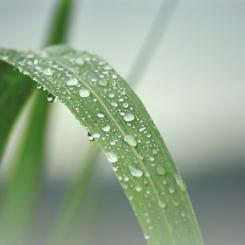 Foto: Mostphotos