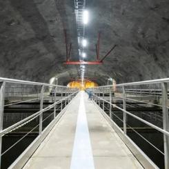 Foto: Rikkard Häggbom