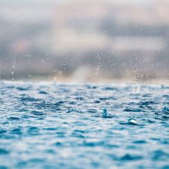 Foto: Max/Unsplash