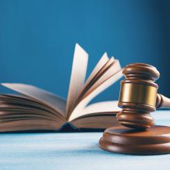 Naturskyddsföreningen har begärt rättsprövning av regeringens beslut att tillåta bygget av motortrafikleden Tvärförbindelse Södertörn i södra Stockholm. Foto: sasun bughdaryan / unsplash