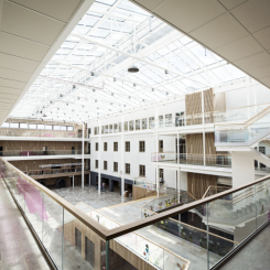 Arkitekterna bakom ombyggnaden av Tomtbergaskolan är HMXW Arkitekter och Witte Sundell. Fotograf/Källa: Håkan Lindgren