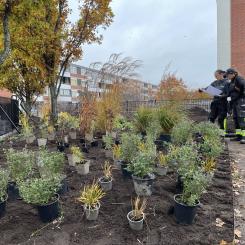 Parken får inte bara nya blommor utan också nya bänkar och ny grillplats. Planen är att parken ska vara klar under hösten 2022. Foto: Huge